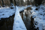 Staverdense beek in de winter